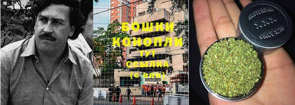 сатива Вязники
