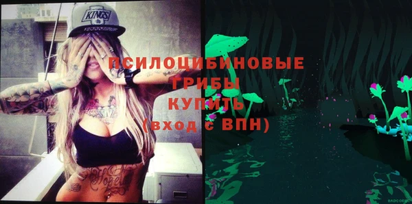 круглые Вяземский