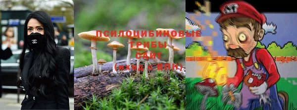 сатива Вязники