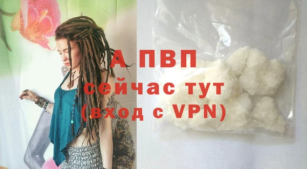 сатива Вязники