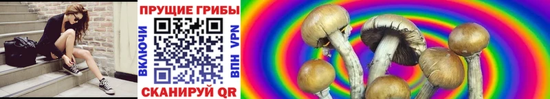 Галлюциногенные грибы GOLDEN TEACHER  Купить  Купино 